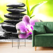 Samolepilna fototapeta meditacijska Zen kompozicija - 98x66
