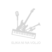 USTNIK ZA POZAVNO YAMAHA SL52S small shank