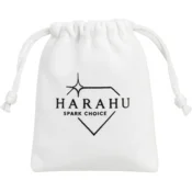 Darilna baršunasta vrečka HARAHU