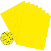 INF Lepljiva past za škodljivce Flycatcher 20 kom Yellow, (21548274)