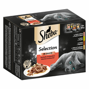 48x85 g Sheba vrečk + 12x60 g Dreamies Mixbox po posebni ceni! - Delikatesse in Gelee različice perutnine