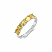 BROSWAY FANCY FEY14D