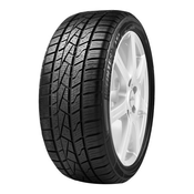 Delinte 165/70R13 79T DELINTE AW5