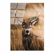 Staklena slika 70x100 cm Deer - Wallity