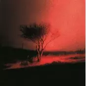 Joji - Piss In The Wind (LP)