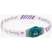 Ovratnica Dog Fantasy LED Svetleča raznobarvna polnilna L 65cm