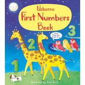 First Numbers Book