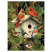 Set za slikanje akrilnim bojama Royal - Ptice, 22 ? 30 cm