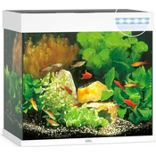 Set za akvarij Juwel Lido LED 120 bijeli 61x41x58cm 120l