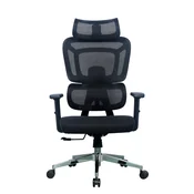 Ergovision Ergonomski pisarniški stol APOLLO | Barva: Črna