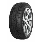 Minerva zimske gume 205/50R17 93V XL 3PMSF Frostrack UHP m+s