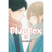 Blue Box, Vol. 12