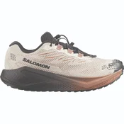 Salomon AERO BLAZE 4 GRVL GTX, muške patike za trcanje, bež L45403200