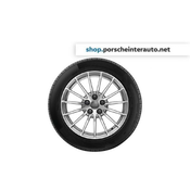 AUDI zimski komplet koles Audi A5 in A5 Sportback 2017- 17 col (AUDI 15-Speichen-Design) - 4 kosi