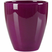 Pakiranje orhidej 620 Pure Violet 13 cm / v. 15 cm - 6 kosov