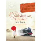 Poslednji voz za Istanbul - Ajše Kulin
