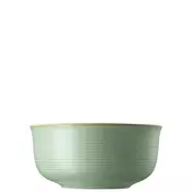 Rosenthal SKLEDA