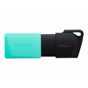 KINGSTON USB 3.2 memorija DataTraveler Exodia M, 256GB
