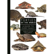 Turtles of the World