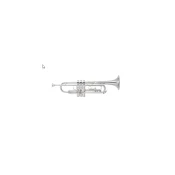 Trobenta Yamaha Bb YTR-8335RCS