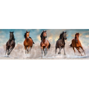 Clementoni - Puzzle Panorama 1000 konja