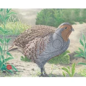 JVD Target Face Animal Partridge