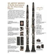 Klarinet Bb Yamaha Custom YCL-SE ARTIST MODEL