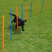 AGILITY FUN & SPORT PASJE IGRAČE - KOMPLET ZA SLALOM - 12-KOSOV