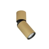 FORMA plafonska lampa AFS117-1C SG