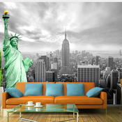 Foto tapeta - Symbol of freedom 250x175