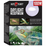 REPTI PLANET žarnica Daylight Neodymium, 100 W