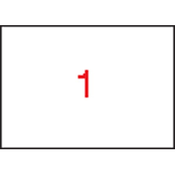 APLI 1-sledna etiketa, 297x420 mm (A3), 100 etiket/paket