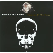 Kings Of Leon - Because Of The Times