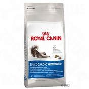 Royal Canin Indoor Long Hair - ekonomično pakiranje: 2 x 10 kg