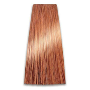 Farba za Kosu COLORART 9/04 PROSALON | Farbe i Kolor Šamponi | Boja i Nega Kose | Kozmo Shop Onlin