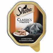 Mega pakiranje Sheba pladnji 44 x 85 g - Classics v pašteti raca in piščanec