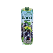 Pijača Dana črni ribez, 1 l