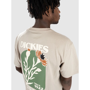 Dickies Herndon T-shirt sandstone
