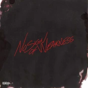 Burna Boy - No Sign of Weakness (Brown Opaque Coloured) (LP)