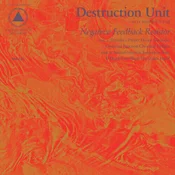 Destruction Unit - Negative Feedback Resistor (LP)