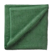 Kela Brisača KL-24595 Ladessa 100% bombaž list zelena 70,0x140,0cm