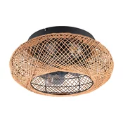 Rjava stropna svetilka z daljinskim upravljalnikom/z ventilatorjem Lillesand – Trio