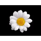 Cvet marjetice O4 cm - bel (20 kosov)