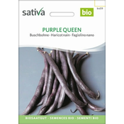 Sativa Grmičasti fižol Purple Queen