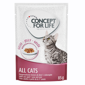 12x85 g Concept for Life po posebni ceni! - All Cats v želeju