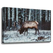 shumee Platno s sliko Živali Kanadski jelen 60x40