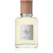 Ralph Lauren Polo Earth Antilles Vetiver toaletna voda za ponovno polnjenje 40 ml unisex