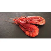 VELIKANSKA RDEČA KOZICA Gambero Rosso