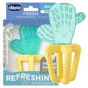 Chicco glodalica kaktus 4m+