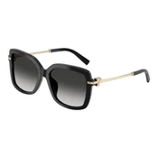 Tiffany & Co. TF4252B 80013C